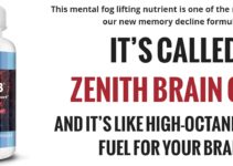 Zenith Brain C-13