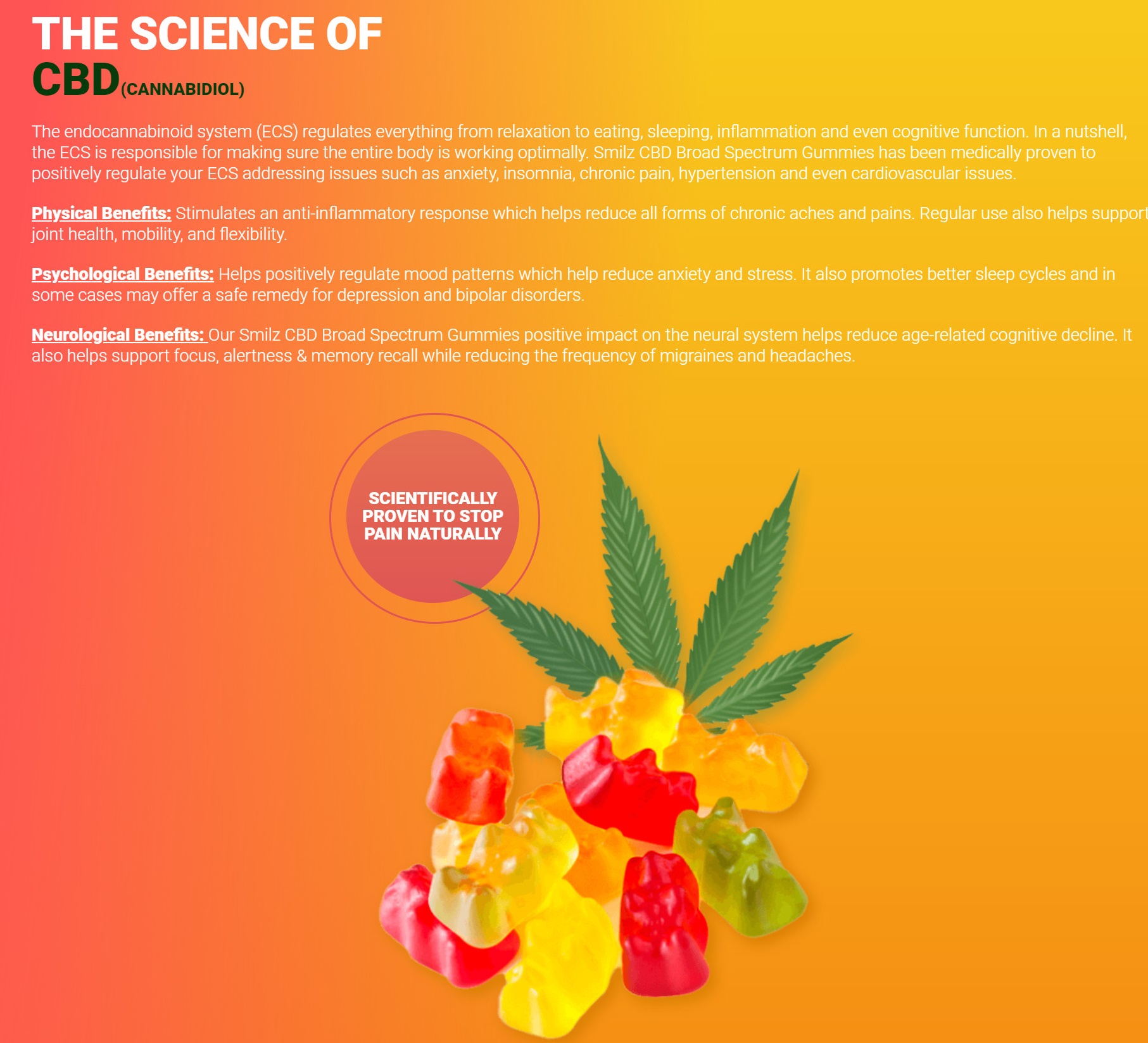 Smilz CBD Gummies USA Science Behind