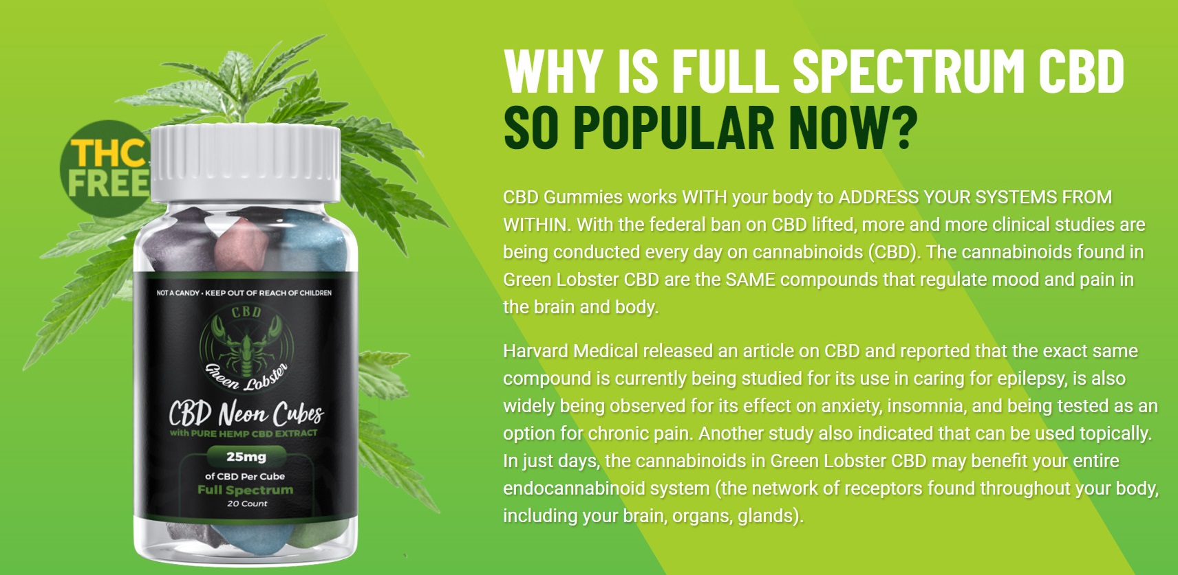 Green Lobster CBD Neon Cubes Gummies Why Need