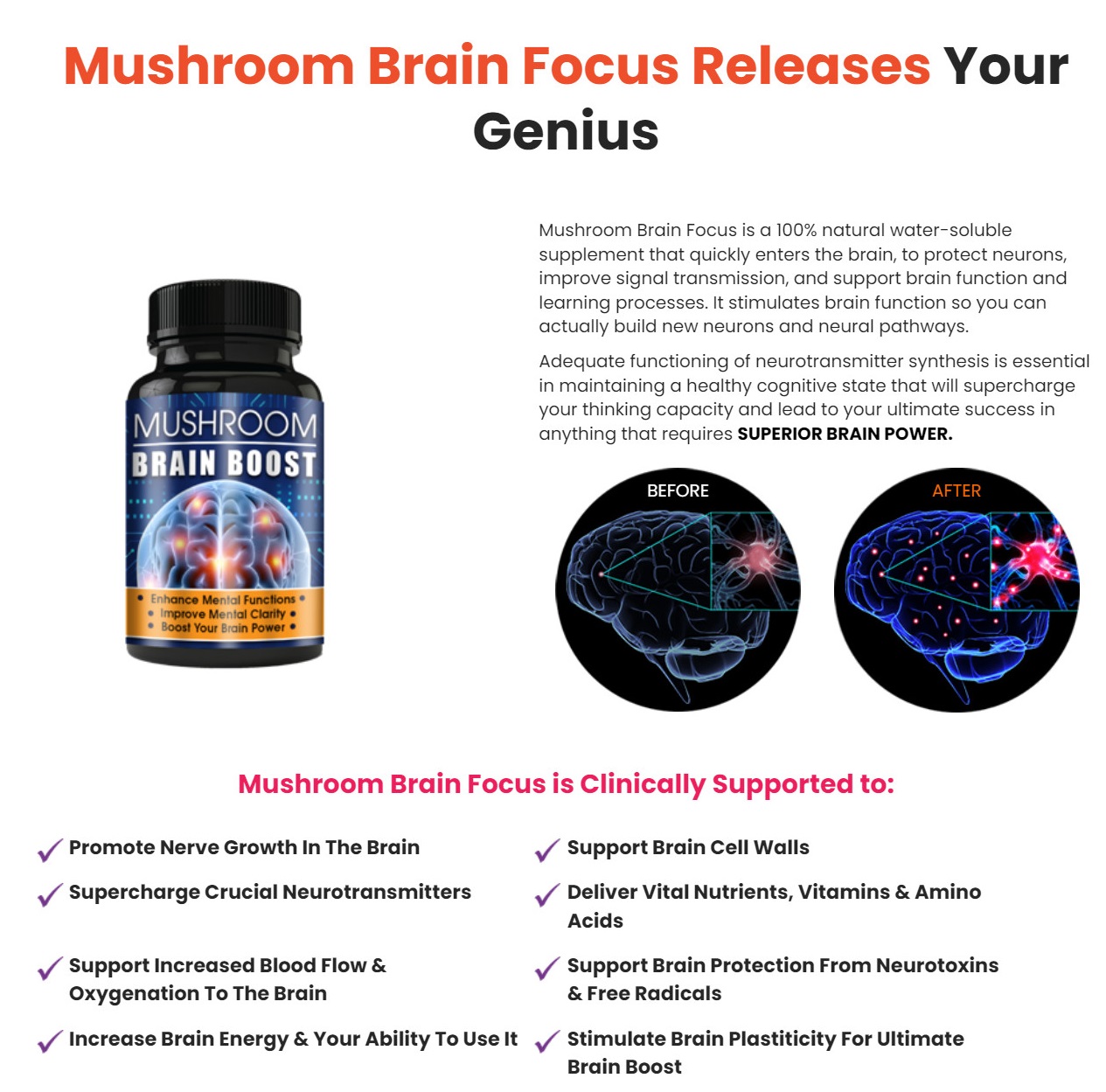 Mushroom Brain Focus 2