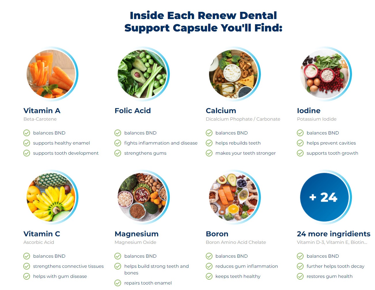 ReNew Dental Support Ingredients