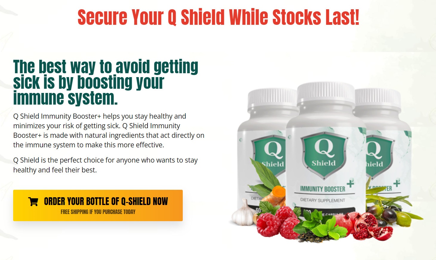 Q Shield Immunity Booster 2