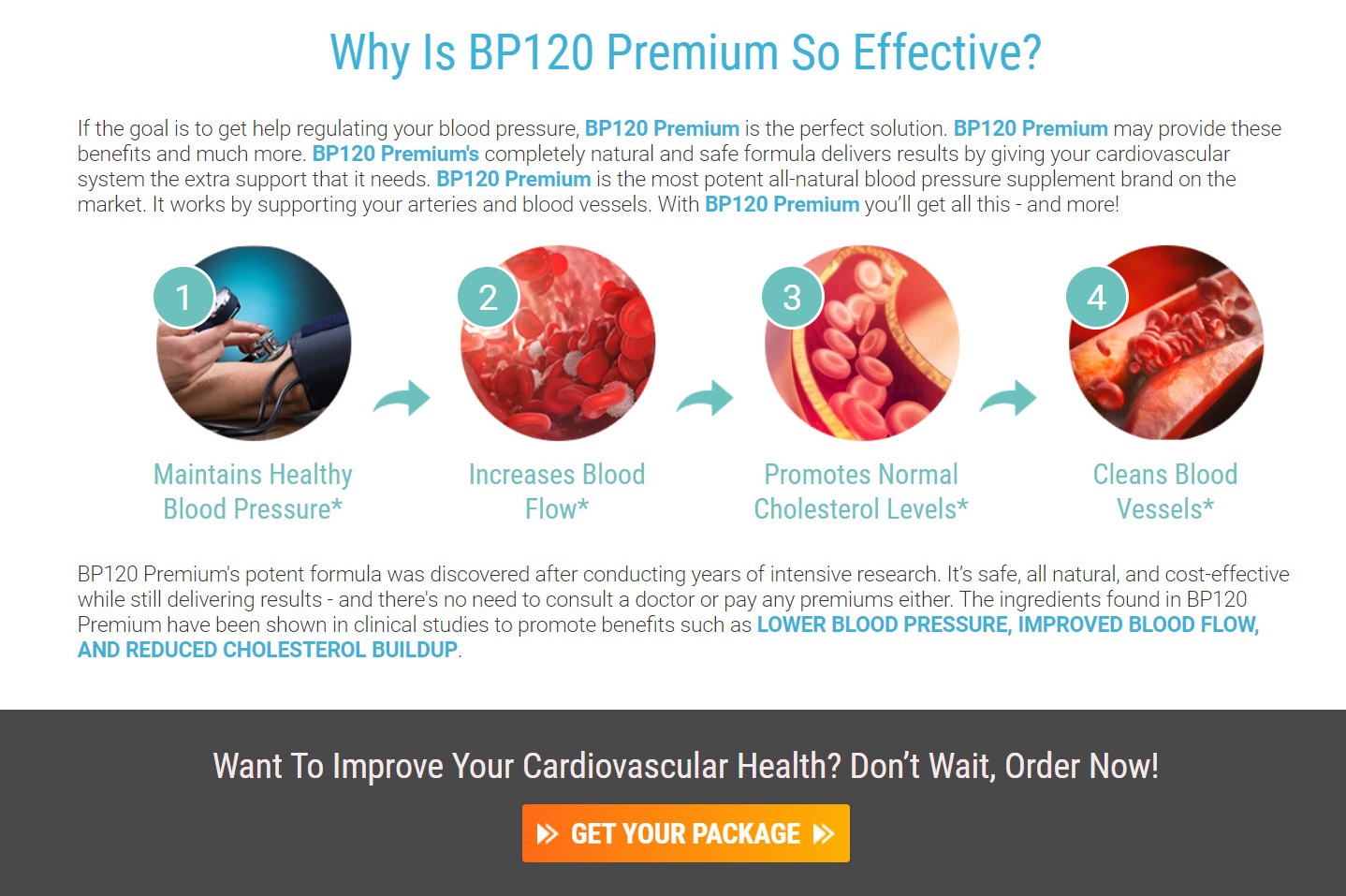 BP 120 Blood Pressure Support 2