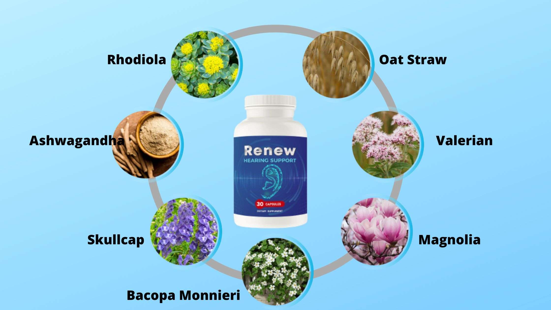 Renew-Hearing-Support-Ingredients