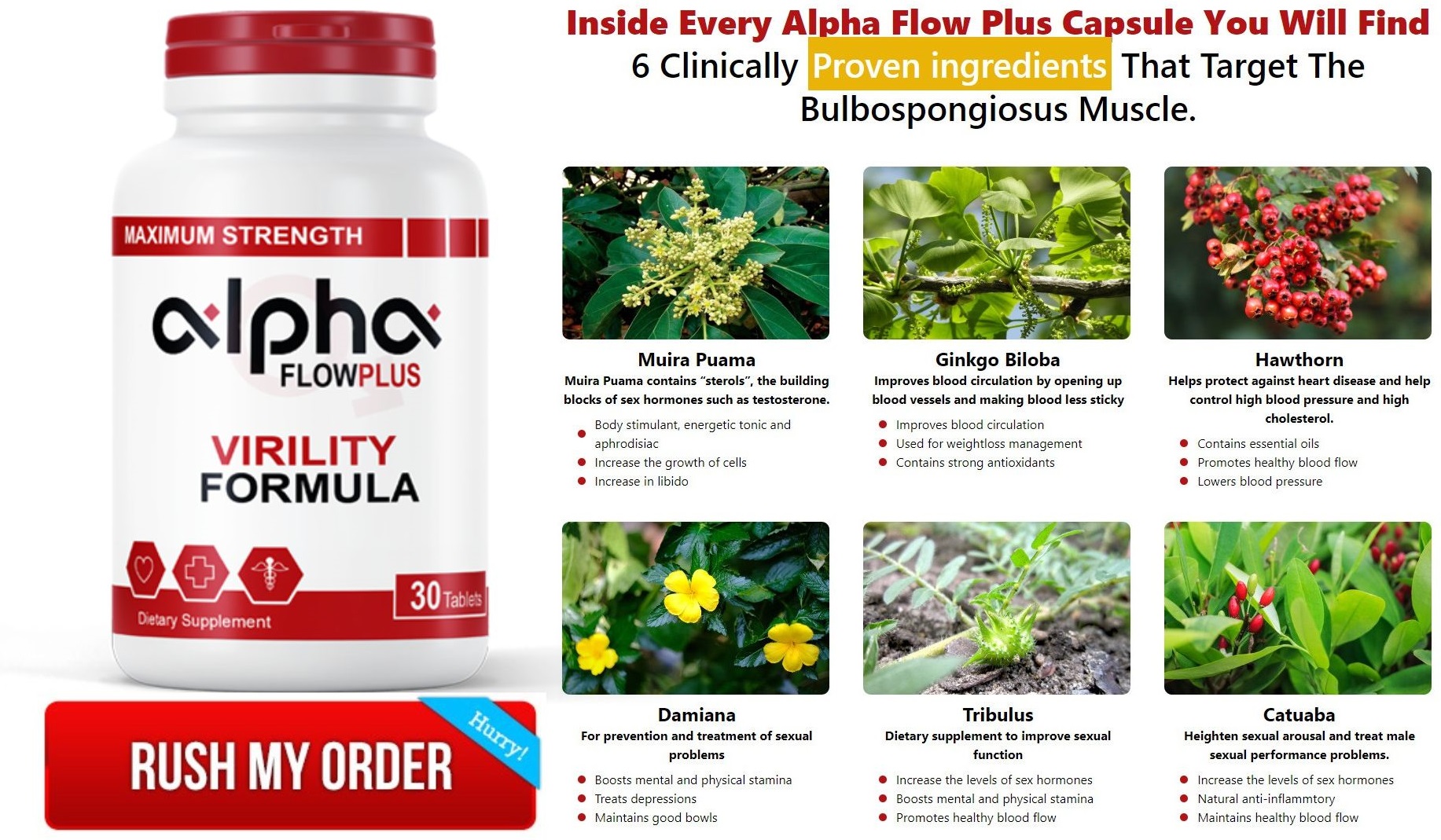 Alpha Flow Plus USA Ingredients